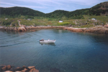 489: Red Island harbour. "Going for a spin". (circa 2000) [courtesy of Madonna (Bishop) Mulrooney]